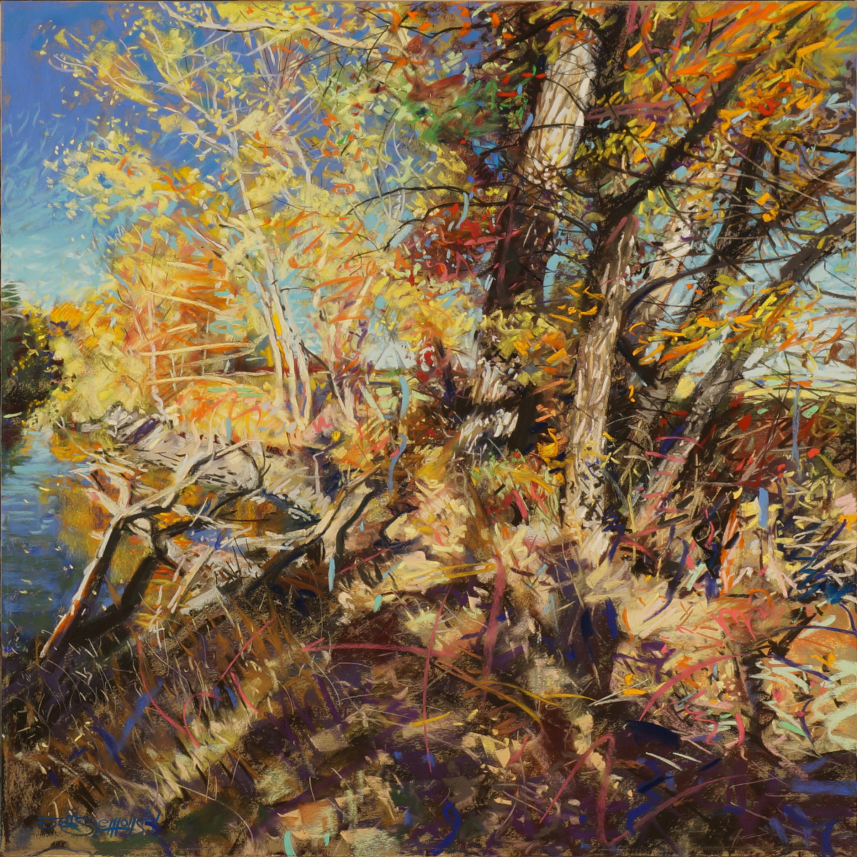 Fall Afternoon On The Poudre