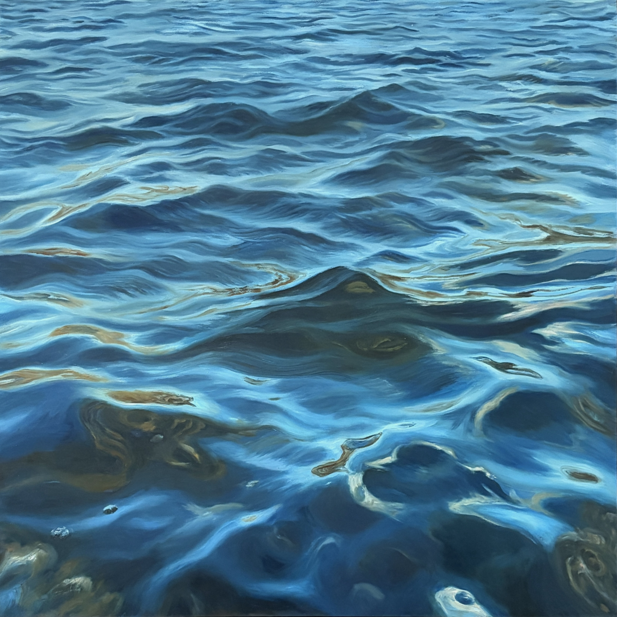 Transparent Reflections