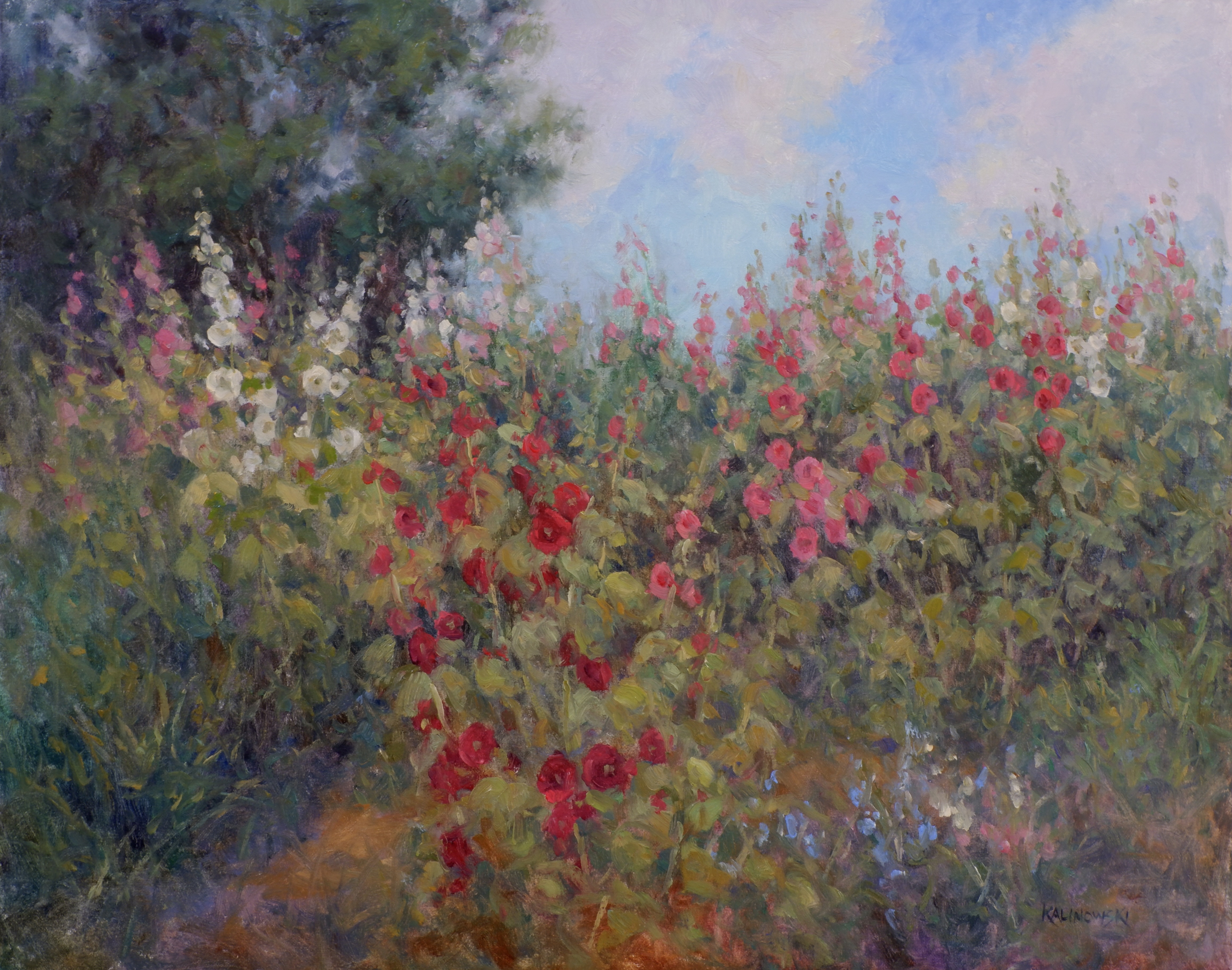 A Hill of Hollyhocks