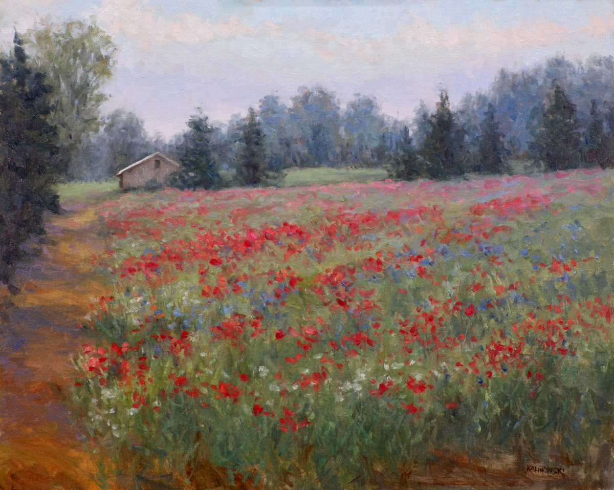Poppies in June