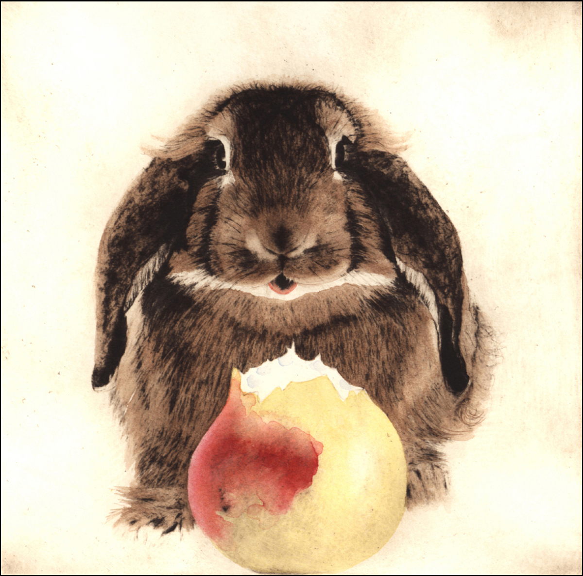 Je Suis Pierre Lapin