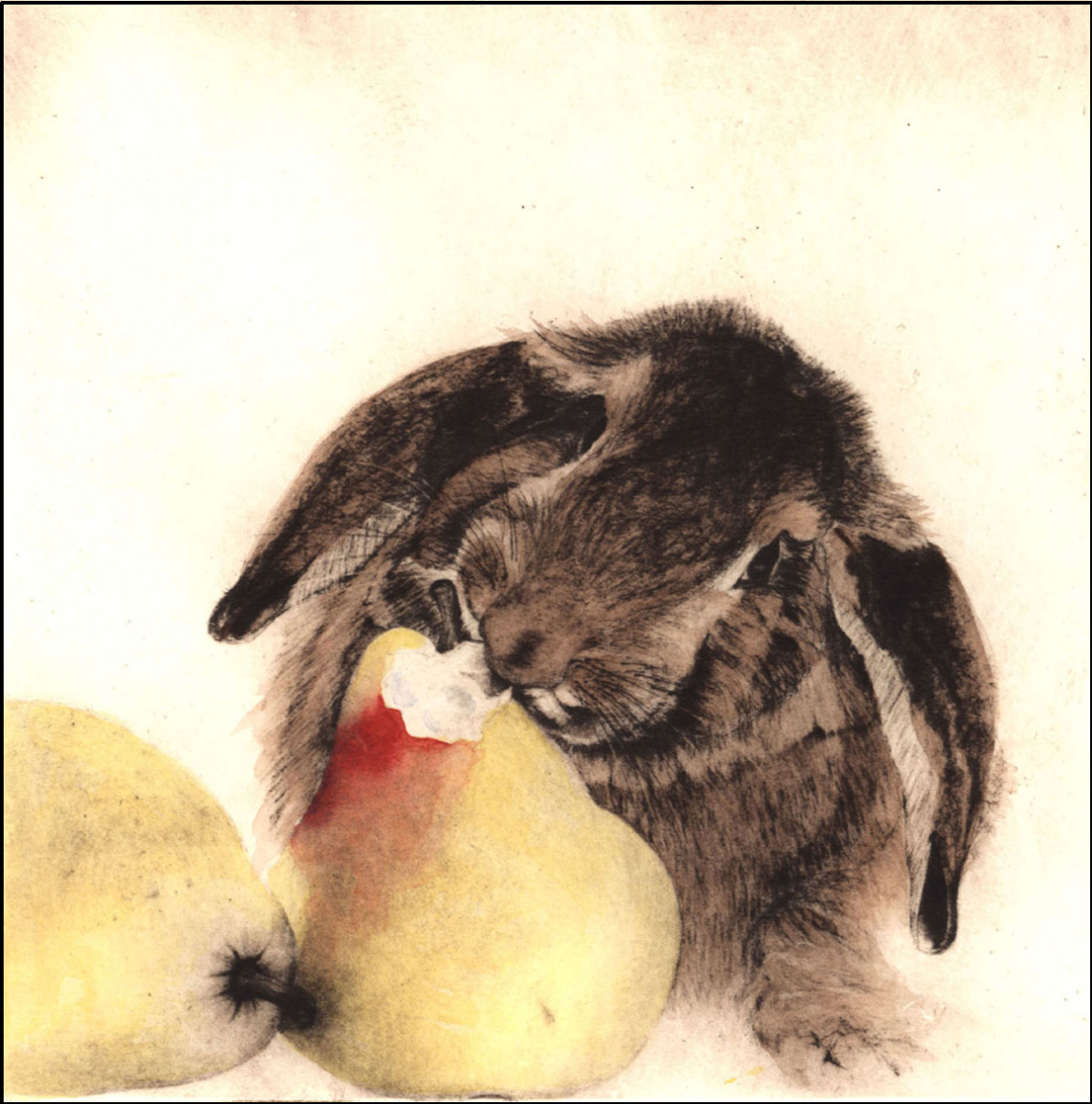 Je Suis Pierre Lapin ~ Deux