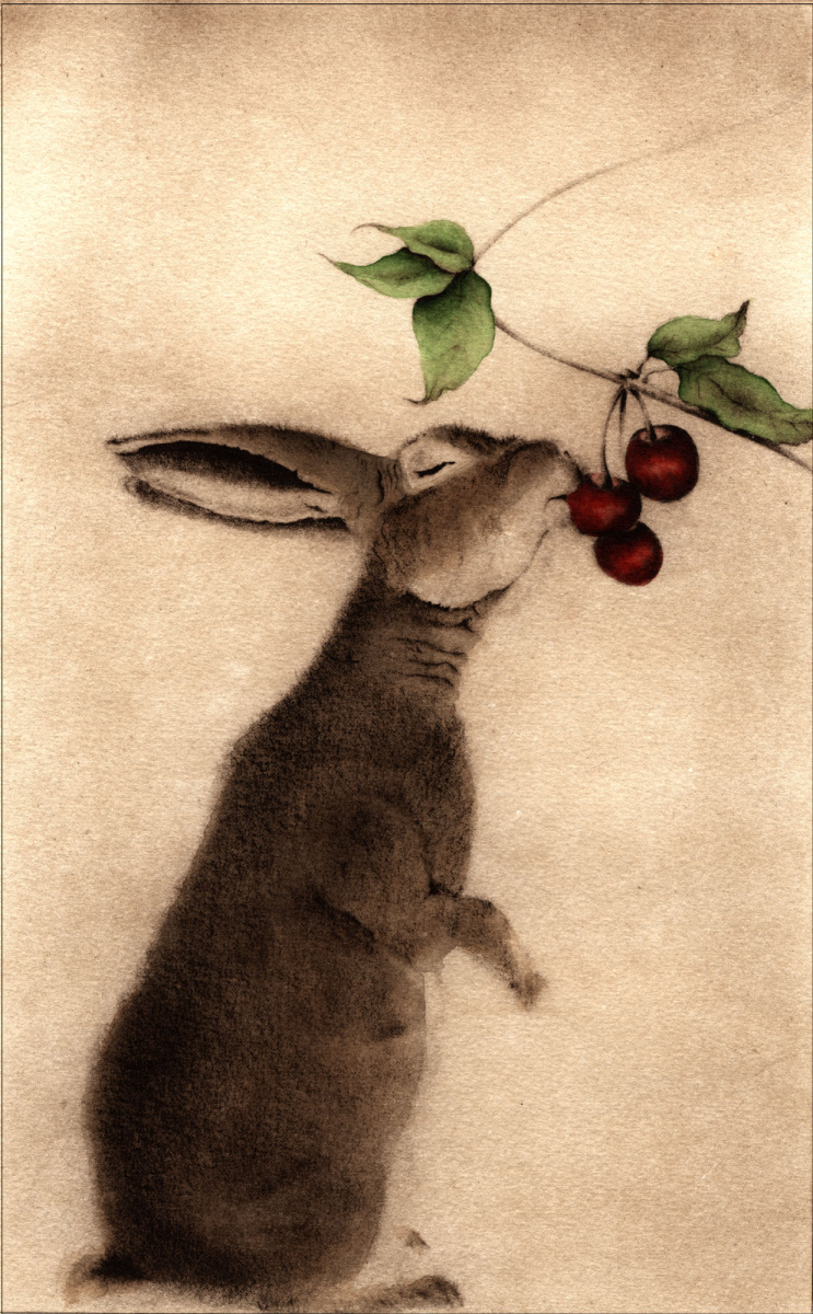 Lapin aux Cerises