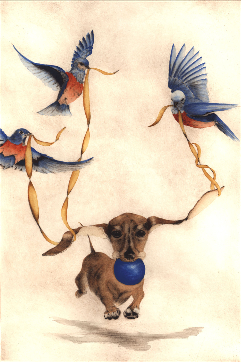 BeeBug & Bluebirds