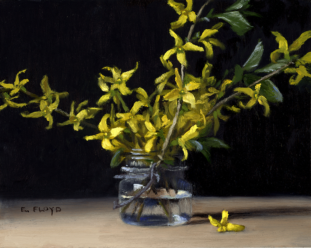Forsythia