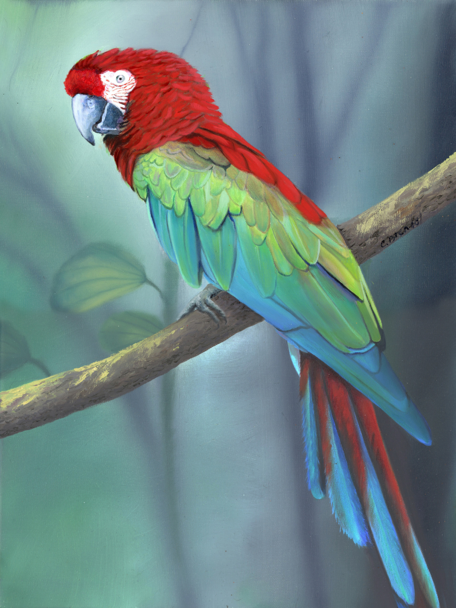 Ruby McCaw Bird oil painting