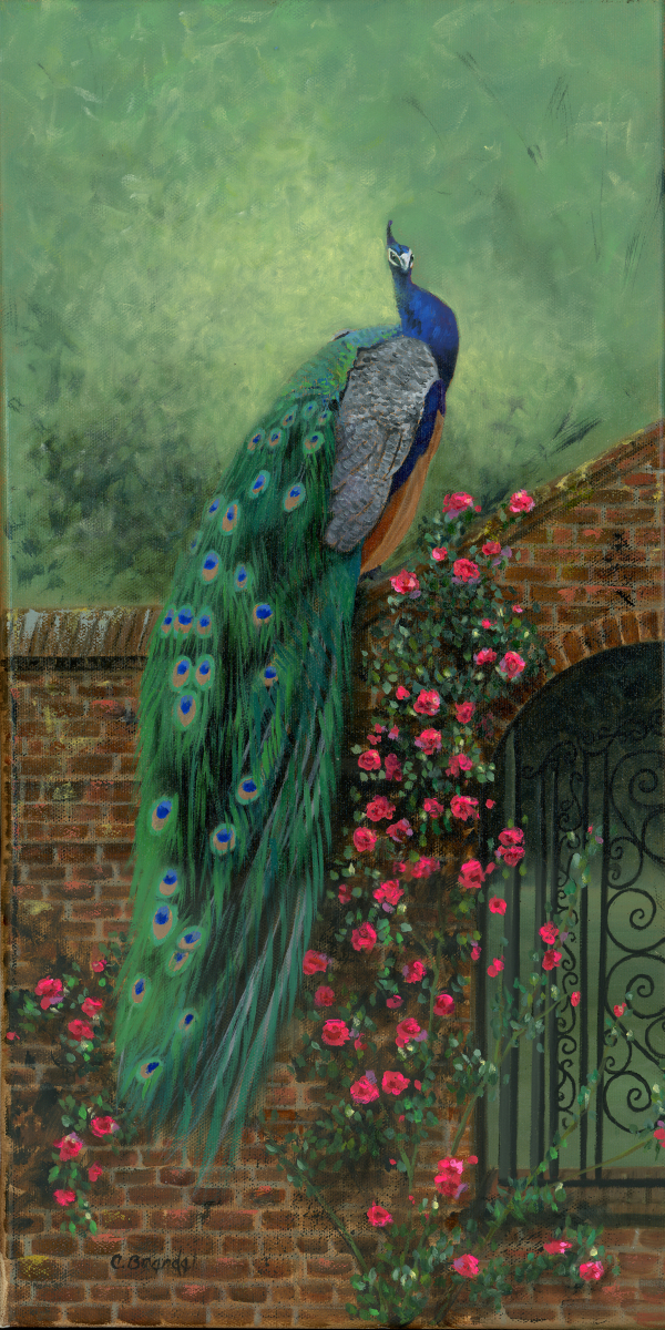 Peacock oil painting