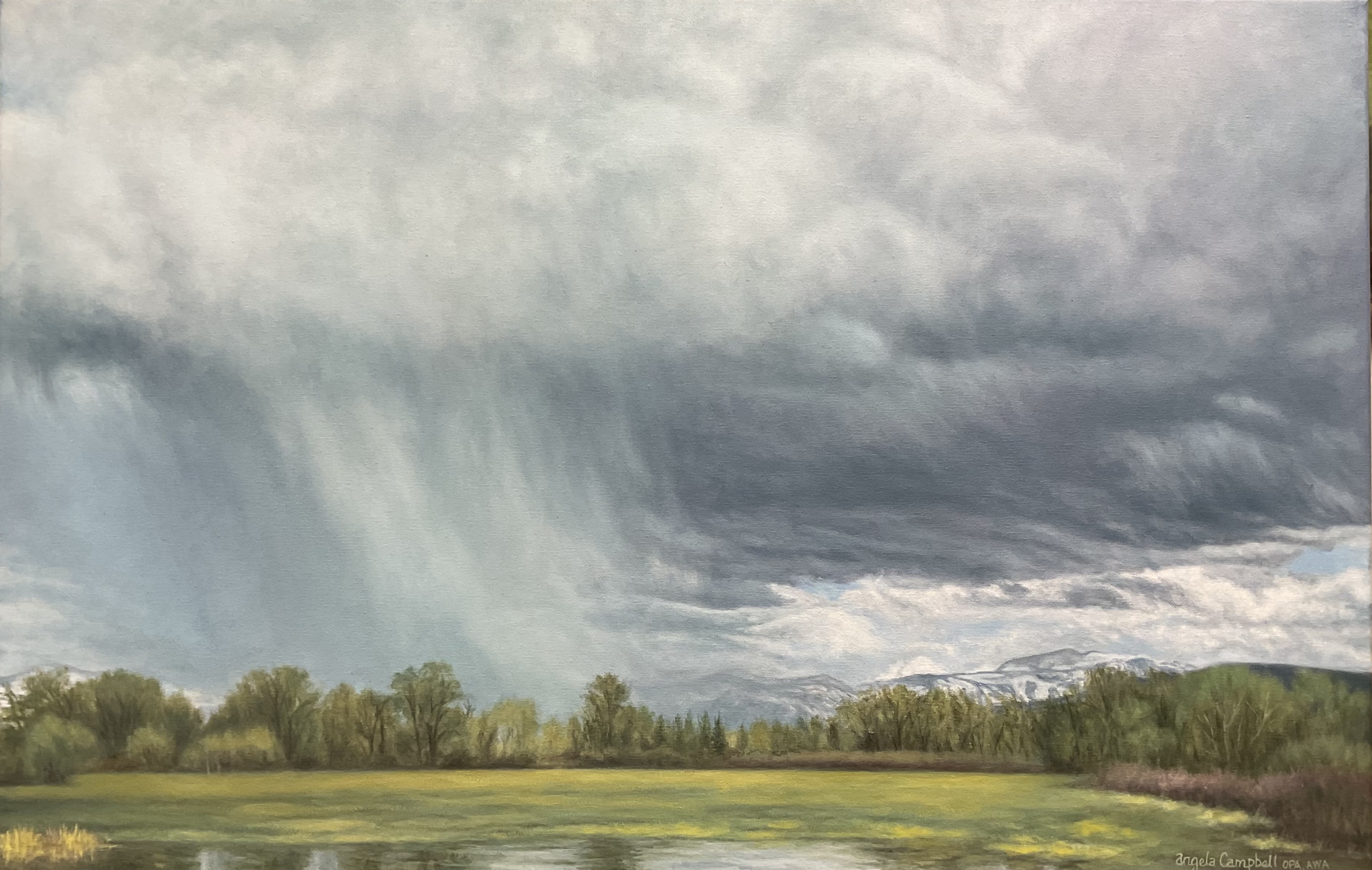 Yampa Valley Cloudburst