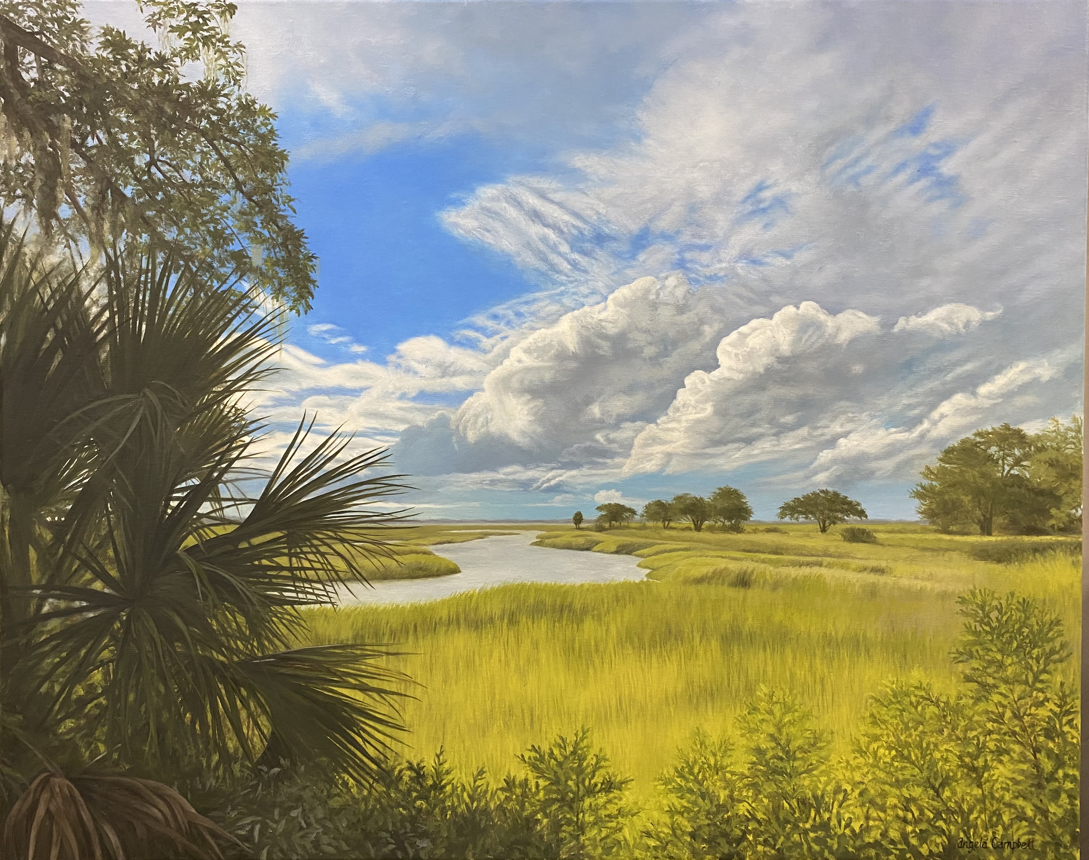 Mid Summer Marsh