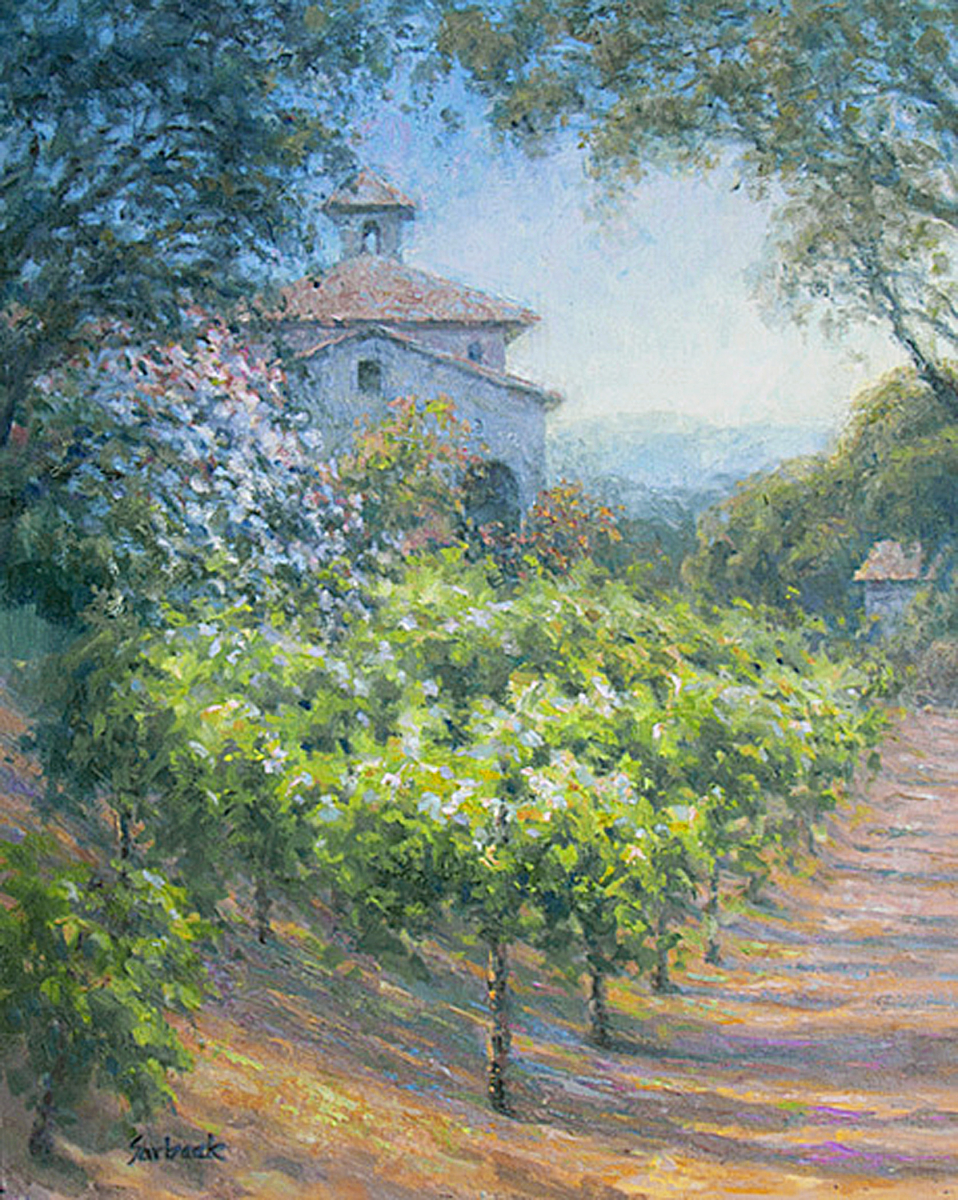 Napa Valley Vineyard
