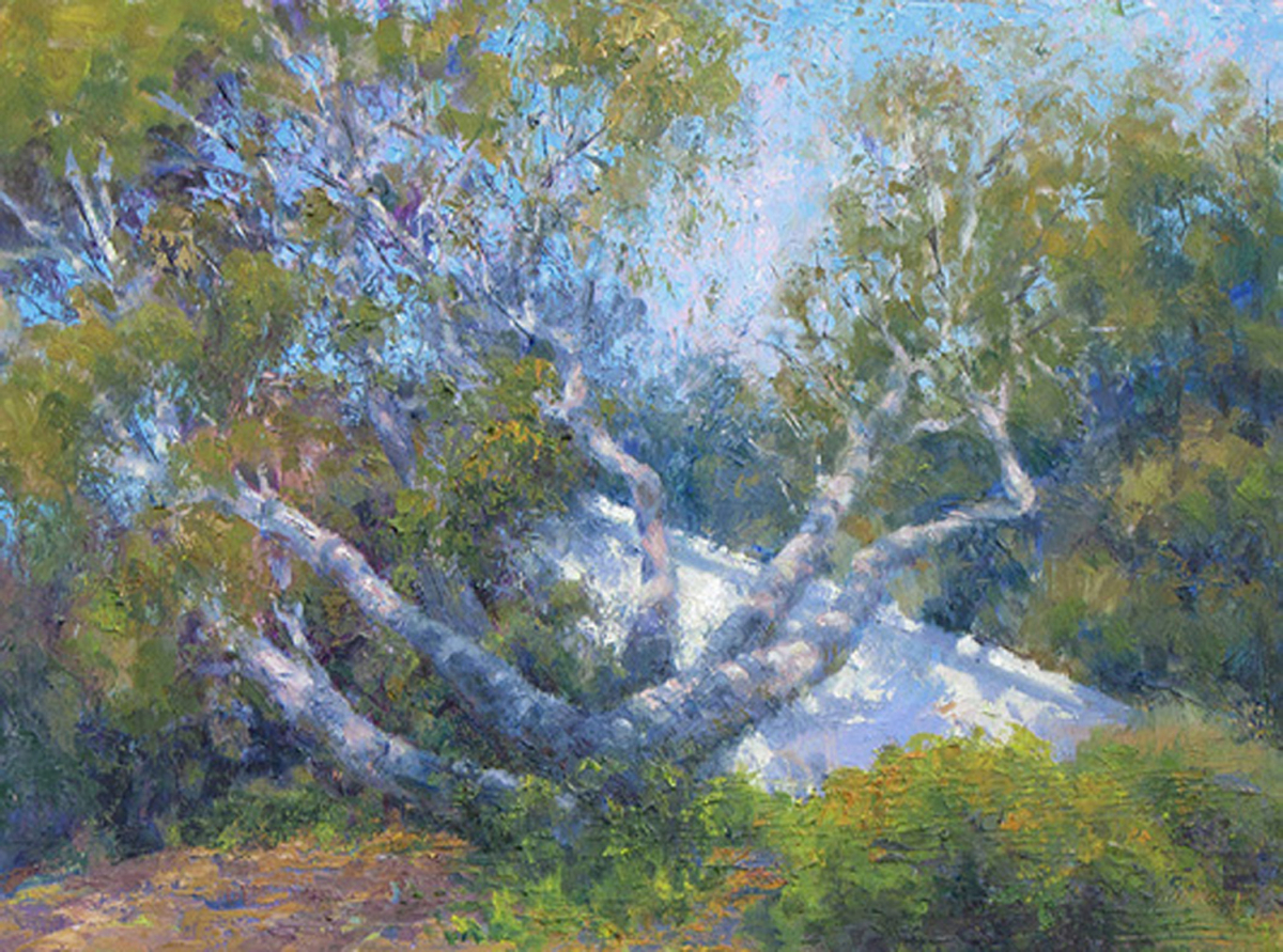 The Wild Oak