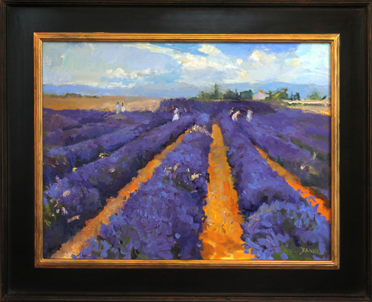 Purple in Provence