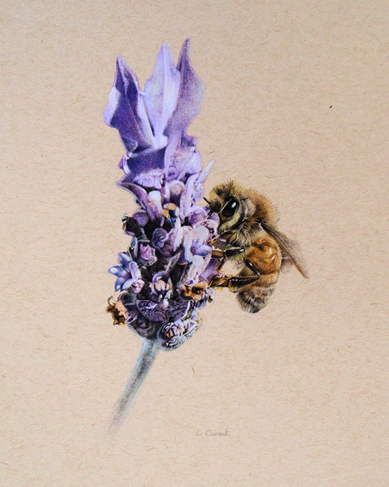 Lavender Kiss