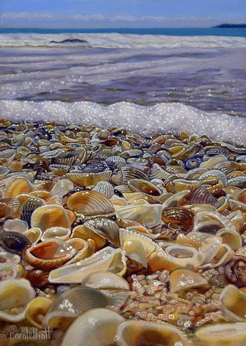 Shimmering Shells
