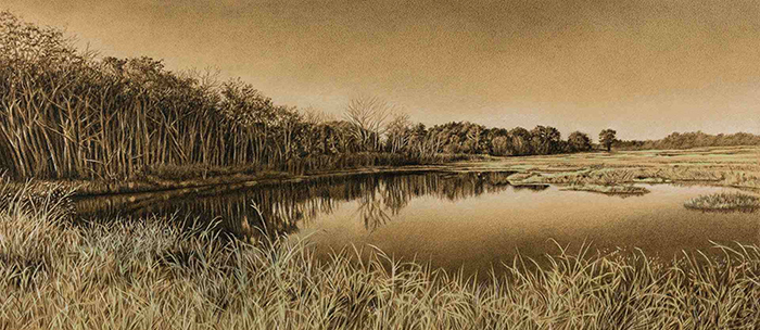 New England Marsh