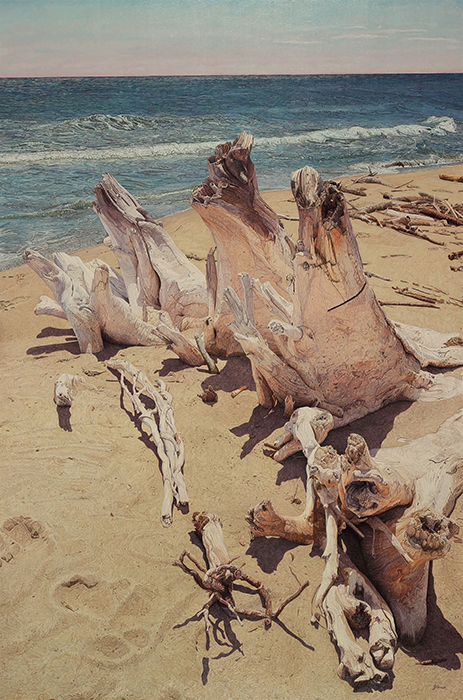 Beached Root II