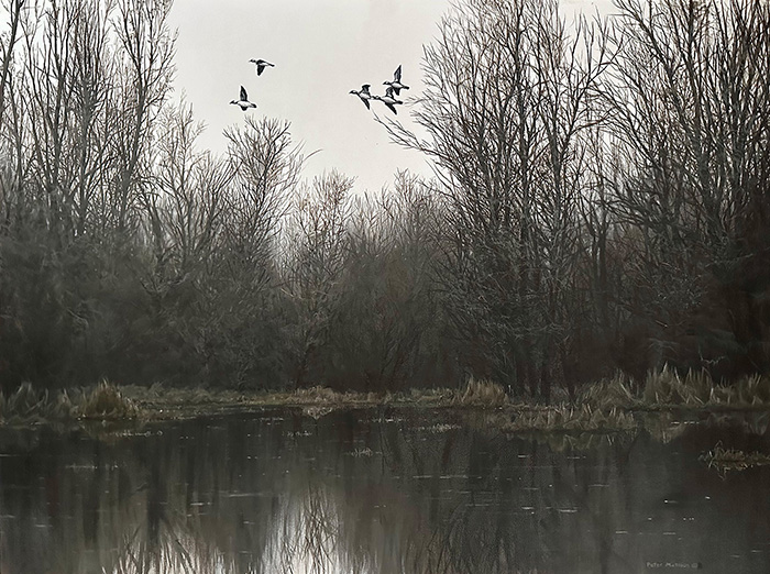Evening Crossing