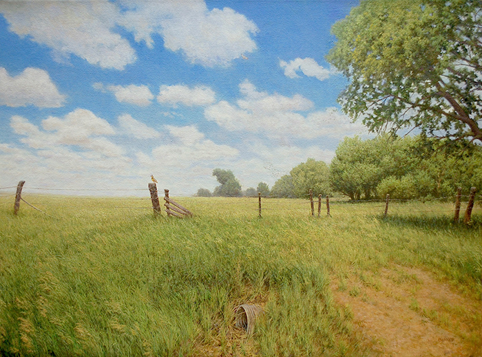 A Meadowlark on a Summer Day