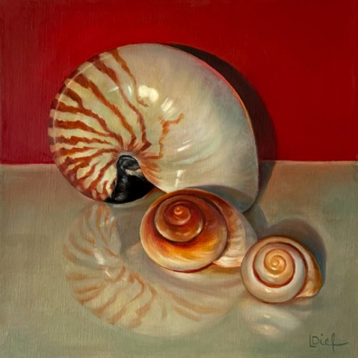 Shell Collection