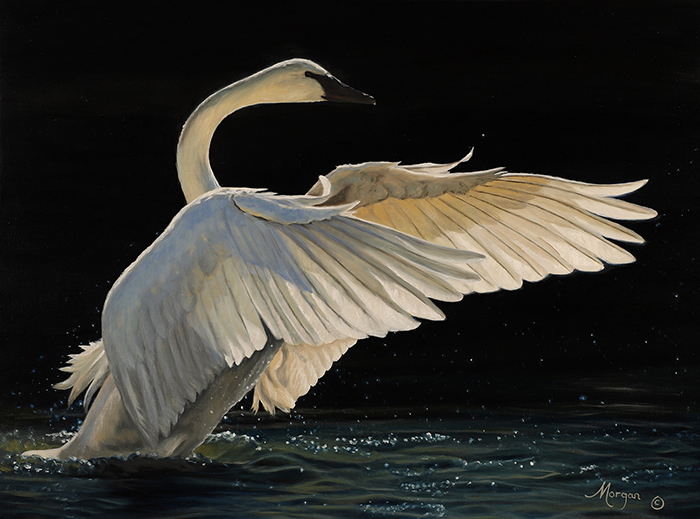 Wings of Grace