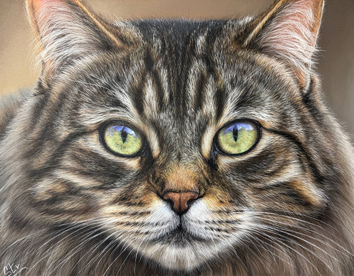 Elvis the Cat