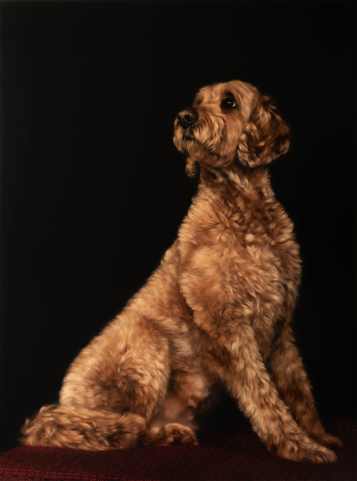 Conner's Portrait
