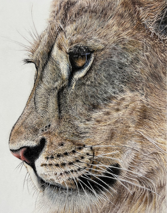Matriarch