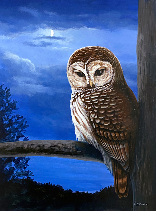 Moonlight Watch