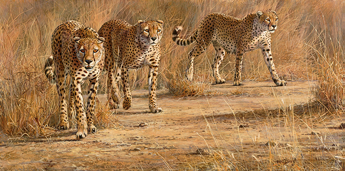 Three Brothers