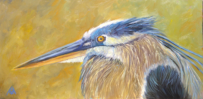 Heron Portrait