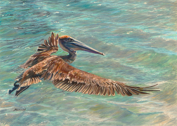 Cleared for Landing