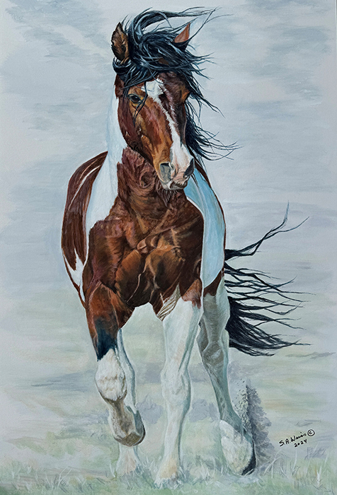 Charger, Wild Paint Stallion