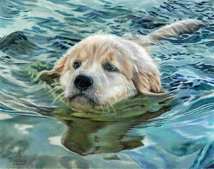 First Swim