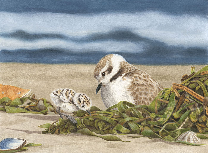 Beach Outing