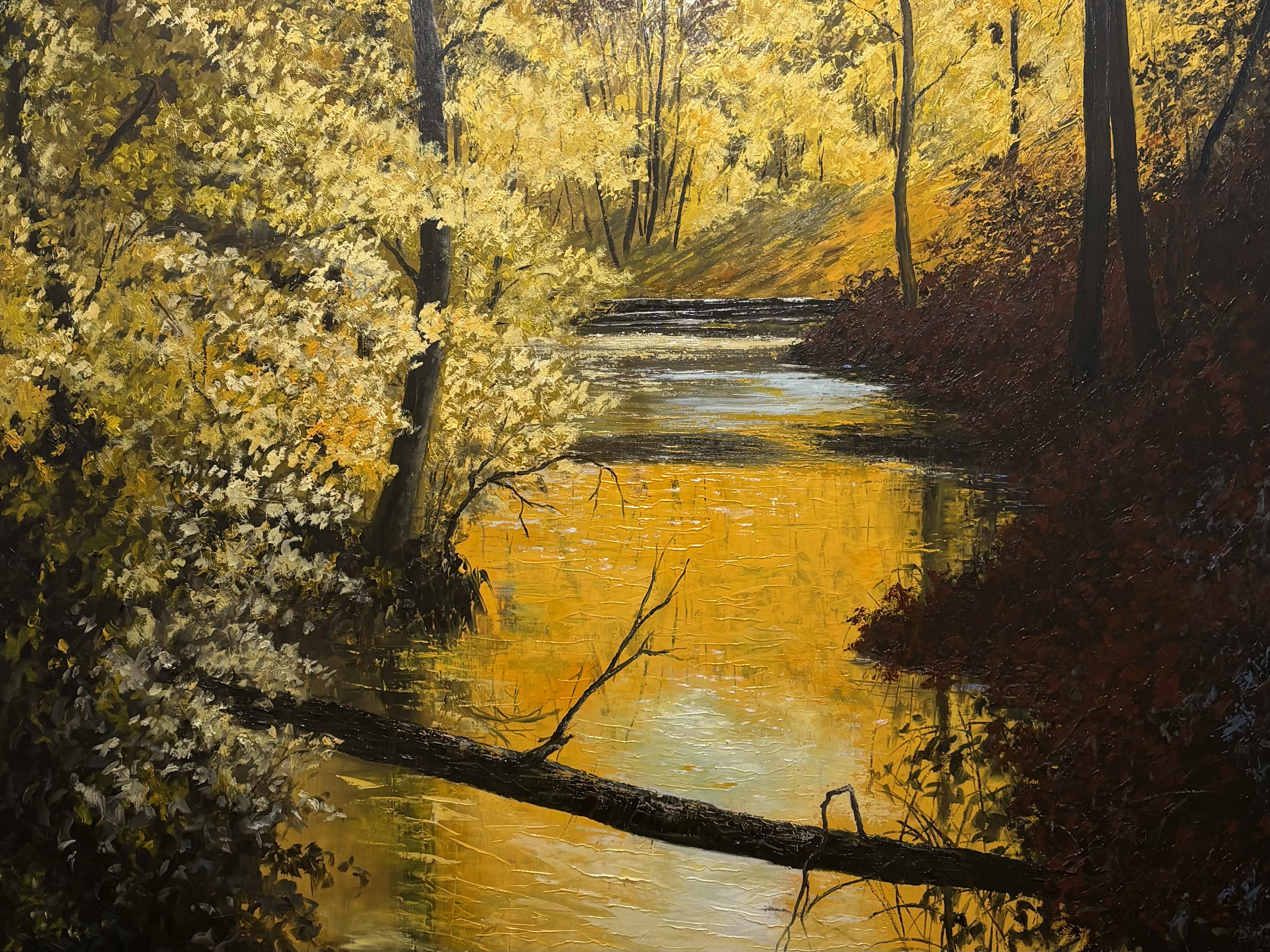 Fall in the Woods