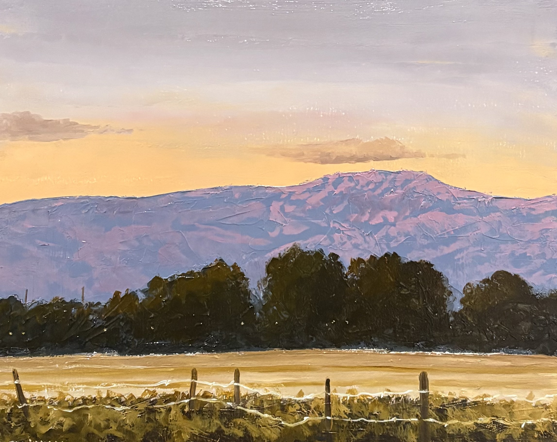 Boise Foothills