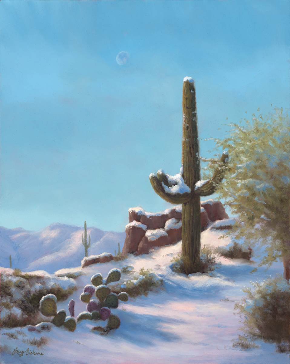 Desert Snow