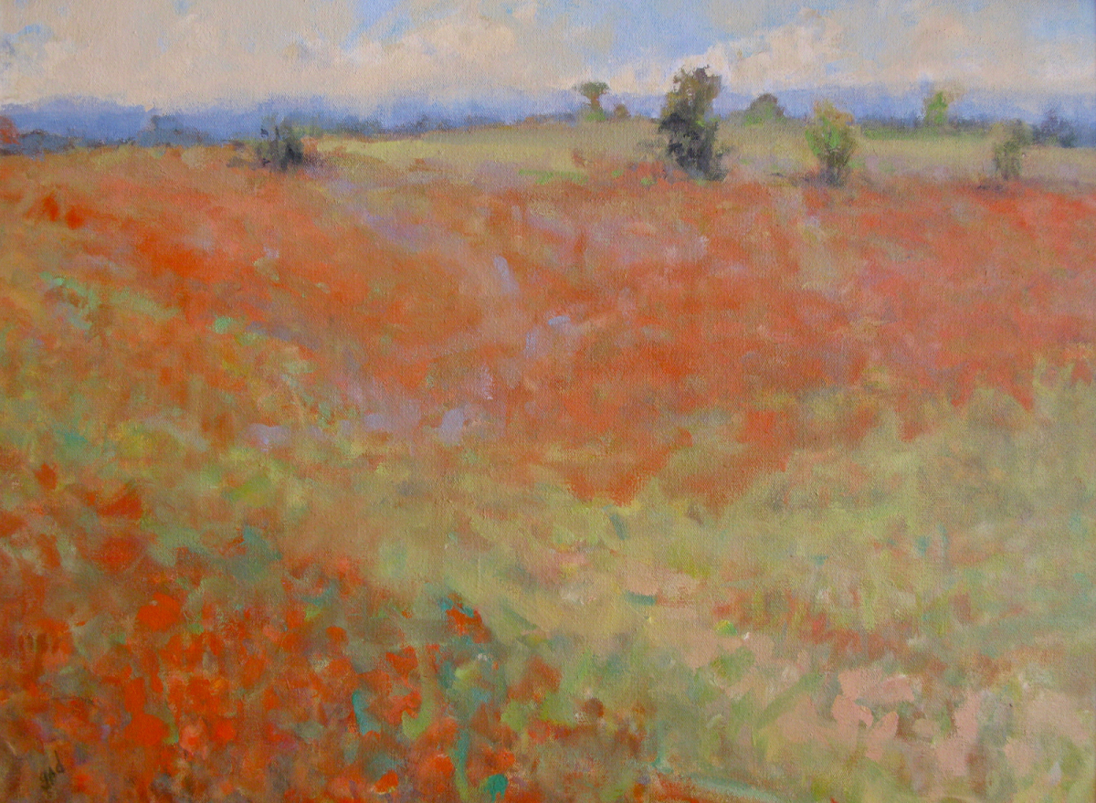 Poppy Field