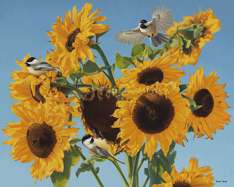 Sunflowers and Chickadees