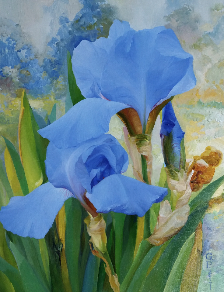 Blue Iris