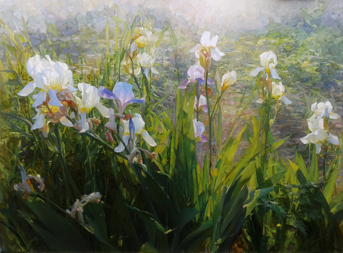 Rays, Irises