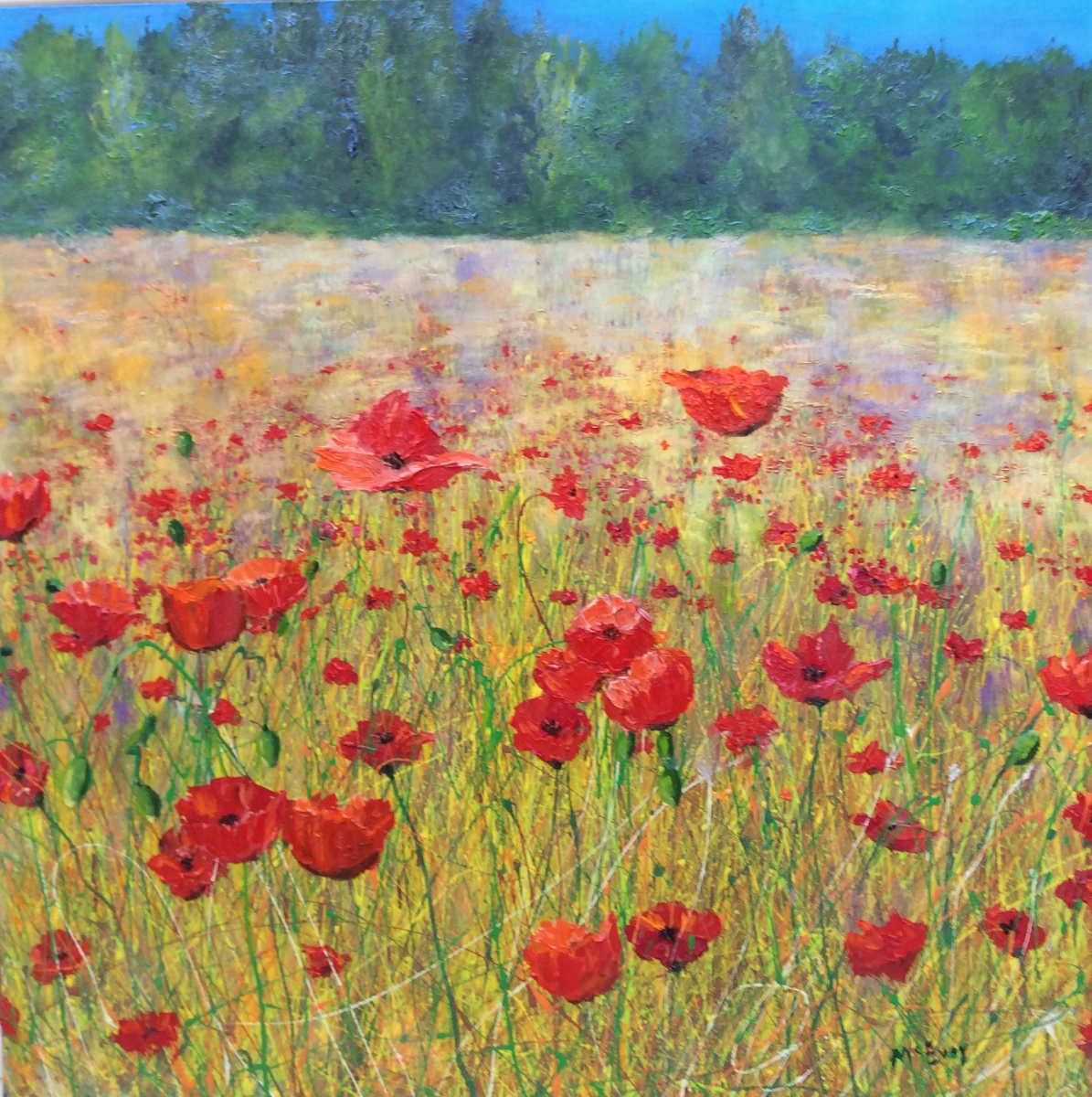 Poppy Field