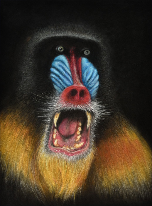 Mandrill