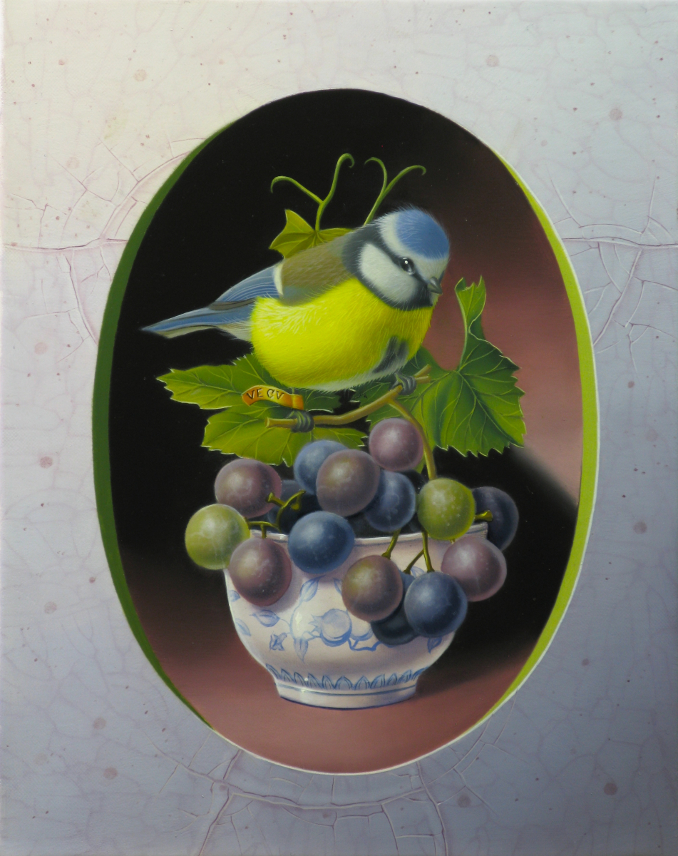 Eurasian Blue Tit with Grapes