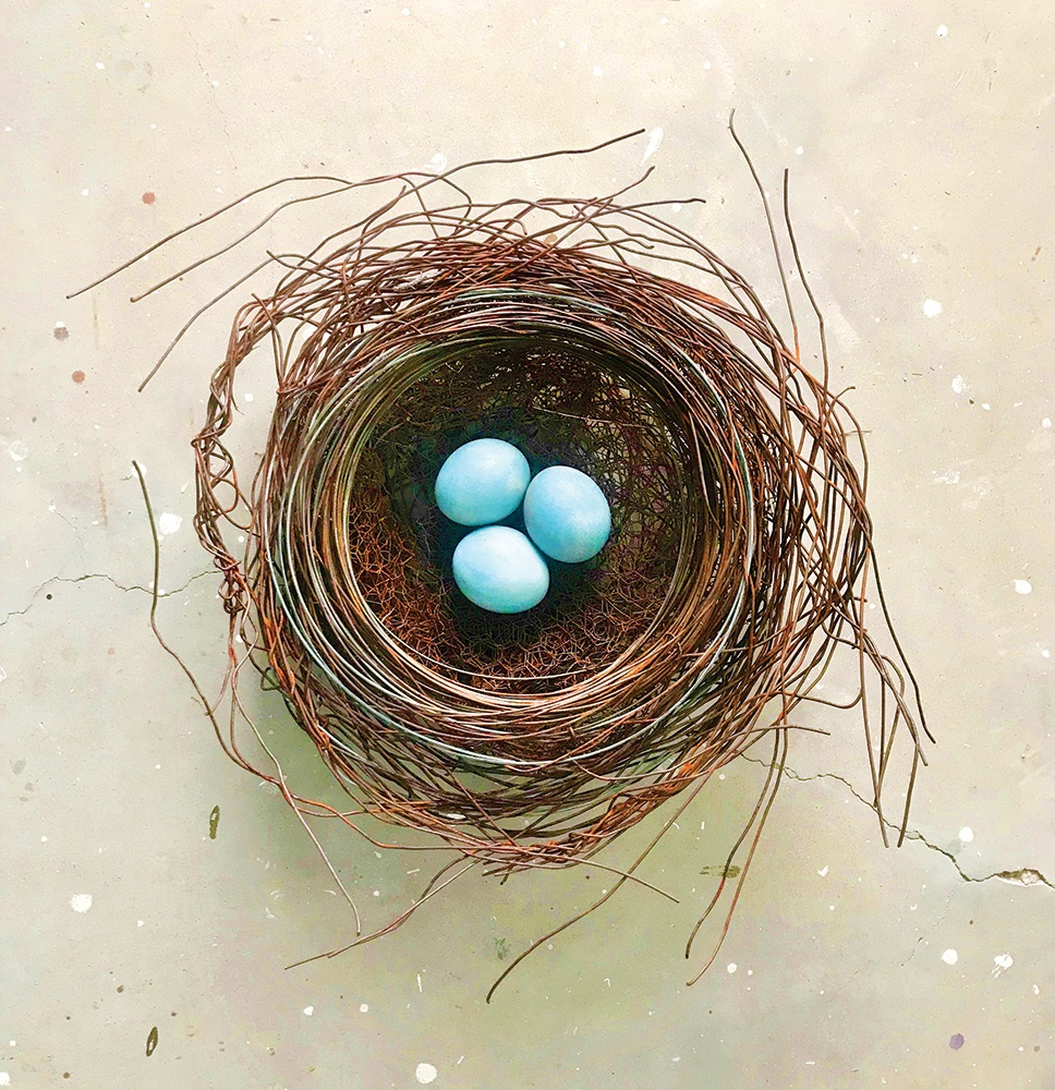 Nest