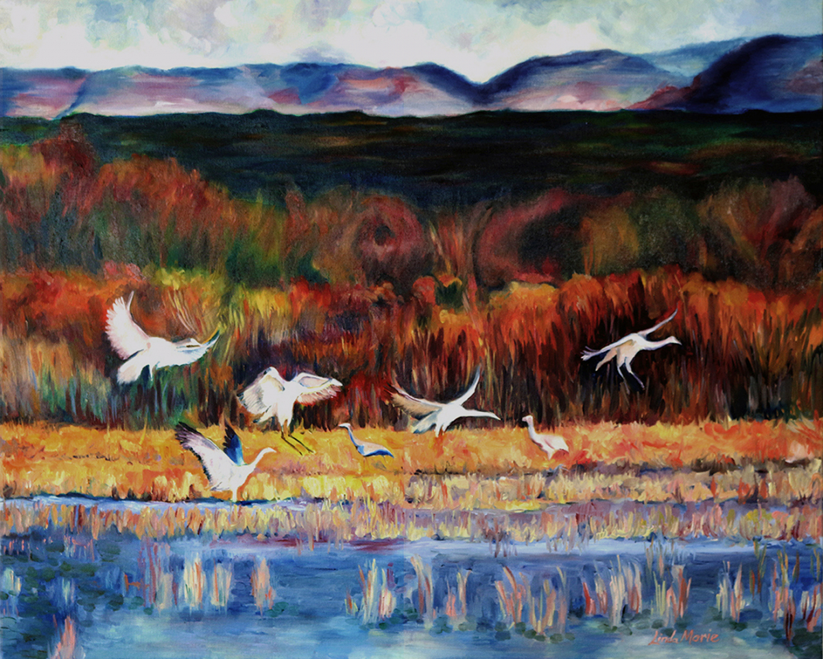 LMC - Bosque del Apache 1