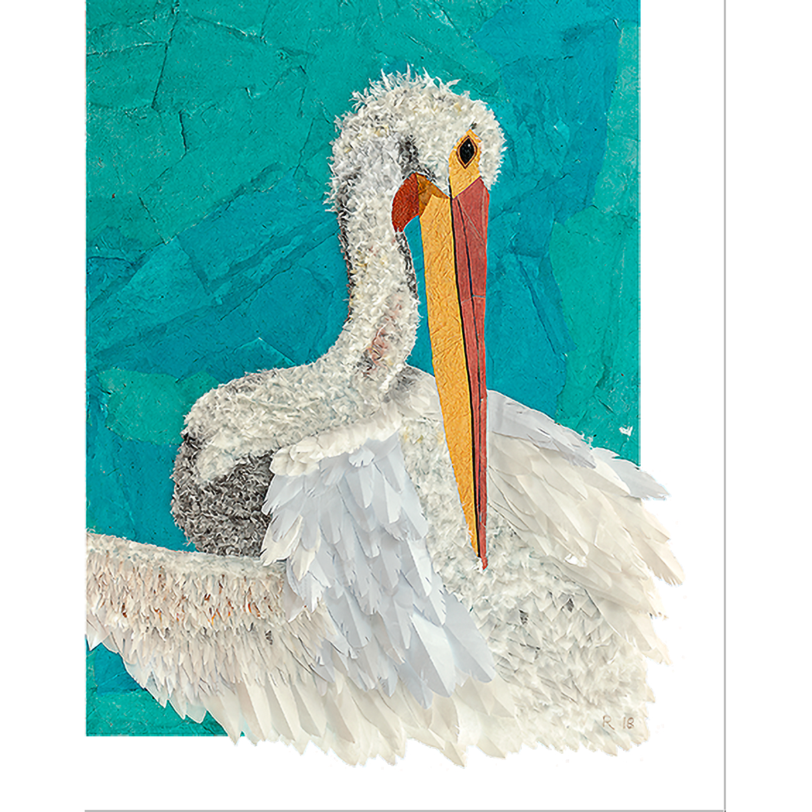 RA - Pelican Preening