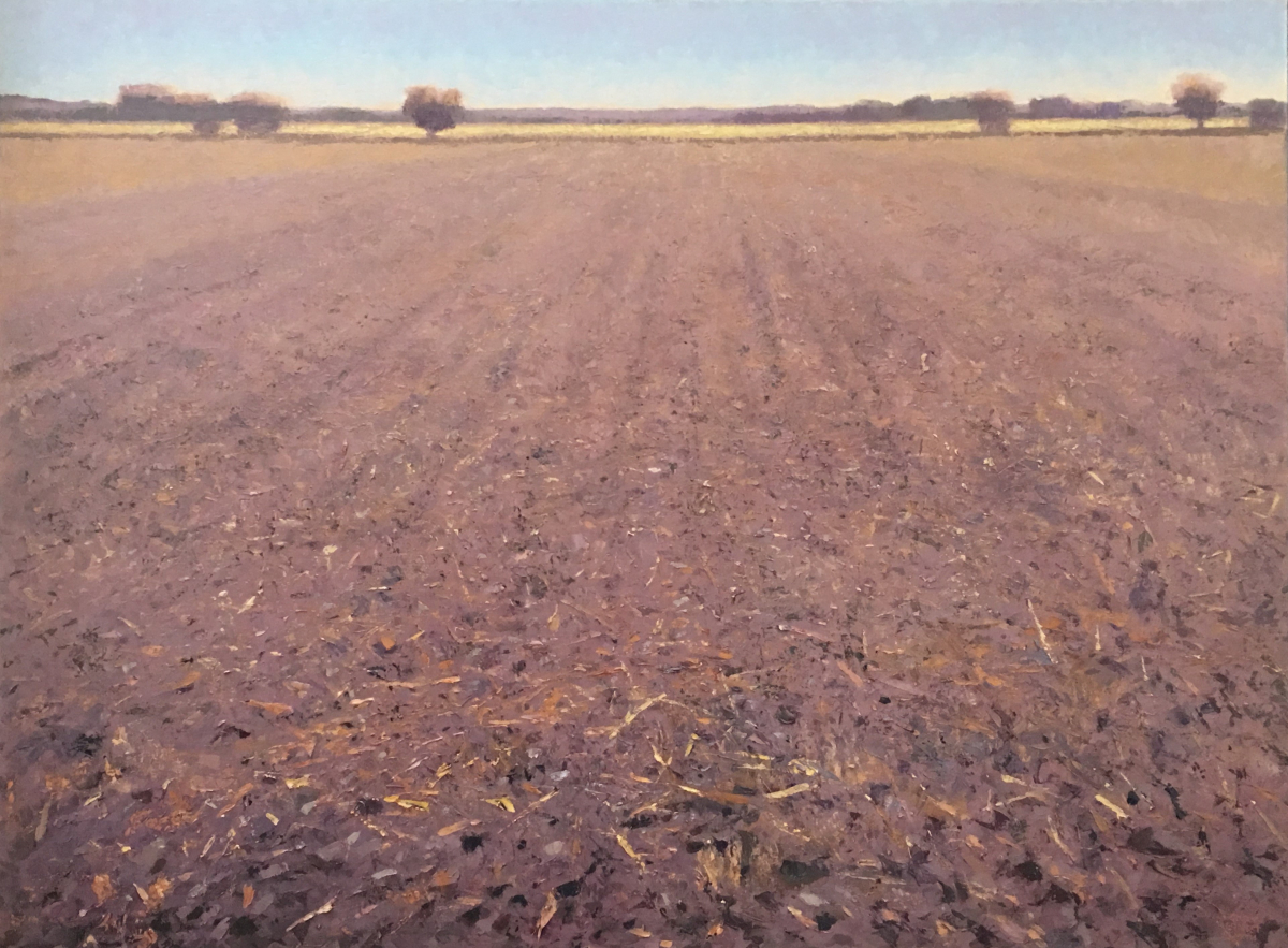 "Plowed Field"