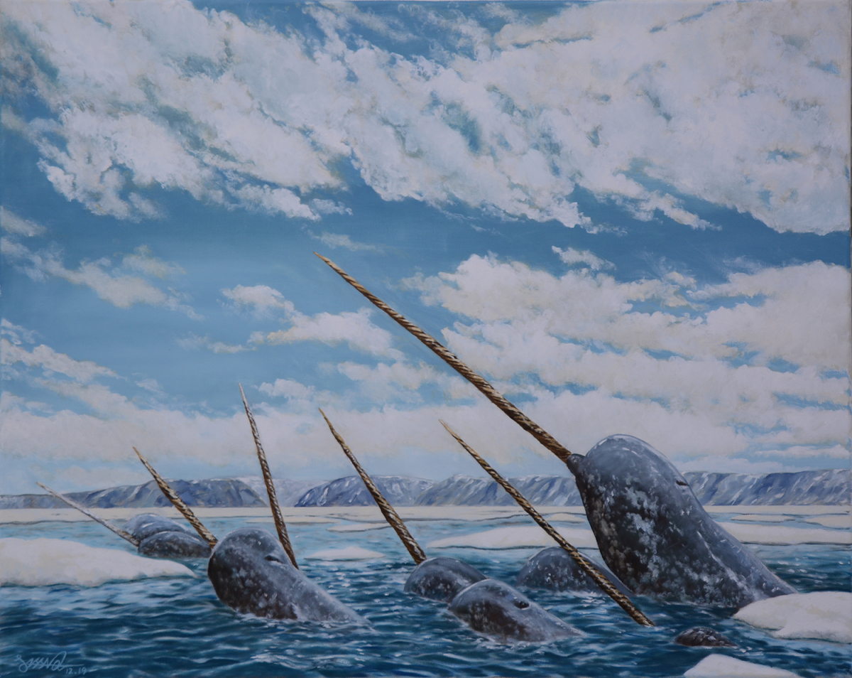 Narwhal Pod