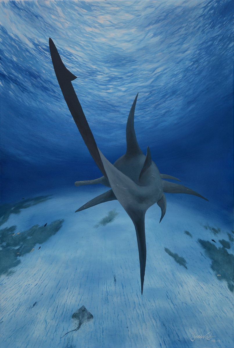 Hammerhead